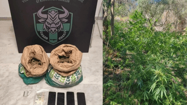 Screenshot 2025-10-10 134743