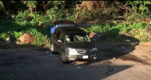 Po hidhte mbeturinat e biznesit të tij në park, policia arreston në flagrancë shqiptarin në Nju Jork
