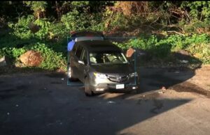 Po hidhte mbeturinat e biznesit të tij në park, policia arreston në flagrancë shqiptarin në Nju Jork