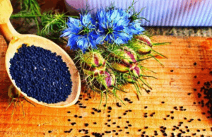 Mrekullitë e fshehura të farës së zezë, ja për çfarë shërben