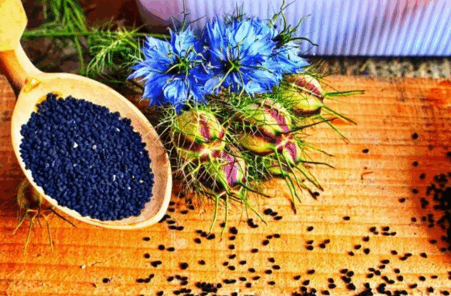 Screenshot 2025-10-13 092613