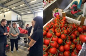 Nga Myzeqeja drejt Europës/ Ministri Salla: “Prodhimet shqiptare po njihen për cilësinë dhe standardet”