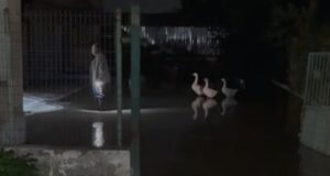 Rritet ndjeshëm niveli i lumit Vjosa, rrezikohet dalja nga shtrati