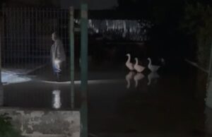 Rritet ndjeshëm niveli i lumit Vjosa, rrezikohet dalja nga shtrati