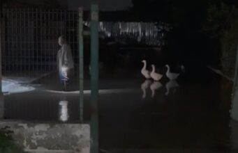 Rritet ndjeshëm niveli i lumit Vjosa, rrezikohet dalja nga shtrati
