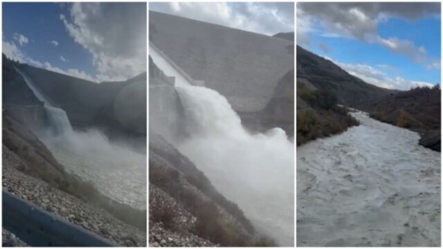 PhotoGrid_Site_1763800223891