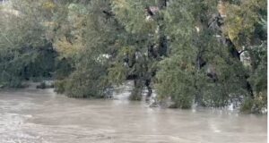 Semani del nga shtrati tek ura e Mbrostarit, përmbyten stalla me bagëti dhe toka bujqësore