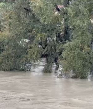 Semani del nga shtrati tek ura e Mbrostarit, përmbyten stalla me bagëti dhe toka bujqësore