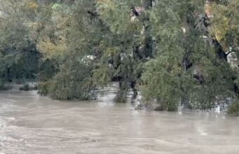 Semani del nga shtrati tek ura e Mbrostarit, përmbyten stalla me bagëti dhe toka bujqësore