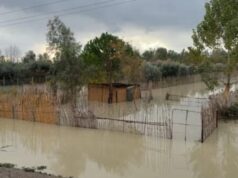 Përmirësim i situatës në Fier, ulet niveli i Vjosës dhe Semanit