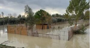 Përmirësim i situatës në Fier, ulet niveli i Vjosës dhe Semanit