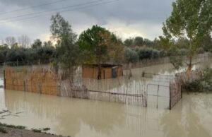 Përmirësim i situatës në Fier, ulet niveli i Vjosës dhe Semanit