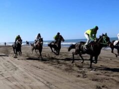 Nesër, gara e kuajve të shpejtësisë në Darezezë