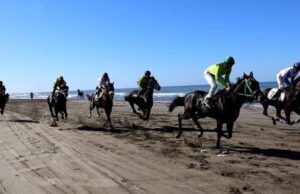 Nesër, gara e kuajve të shpejtësisë në Darezezë