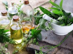 Fuqitë shëruese të natyrës – Si bimët medicinale ndihmojnë shëndetin