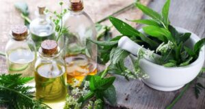 Fuqitë shëruese të natyrës – Si bimët medicinale ndihmojnë shëndetin