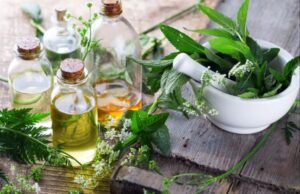 Fuqitë shëruese të natyrës – Si bimët medicinale ndihmojnë shëndetin