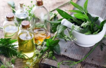 Fuqitë shëruese të natyrës – Si bimët medicinale ndihmojnë shëndetin