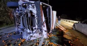 Aksident në aksin Levan-Tepelenë, kamioni i me portokalle del nga rruga, lëndohet shoferi