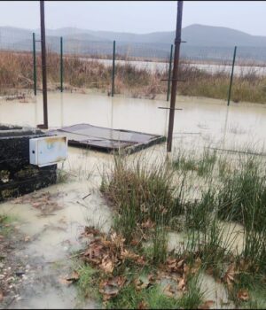 Kufizime në furnizimin me ujë në Fier nga ora 16:00, shkak rritja e nivelit të Vjosës