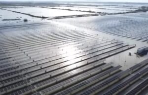 Përmbytet parku fotovoltaik i Karavastasë, stakohet centrali (Video)