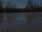 Semani përmbyt qindra hektarë tokë në Lushnjë – Uji prej katër ditësh mbulon fshatra