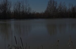 Semani përmbyt qindra hektarë tokë në Lushnjë – Uji prej katër ditësh mbulon fshatra