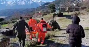 U godit në kokë nga mushka, i mituri transportohet me helikopter drejt Spitalit të Vlorës