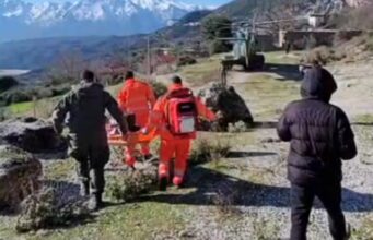U godit në kokë nga mushka, i mituri transportohet me helikopter drejt Spitalit të Vlorës