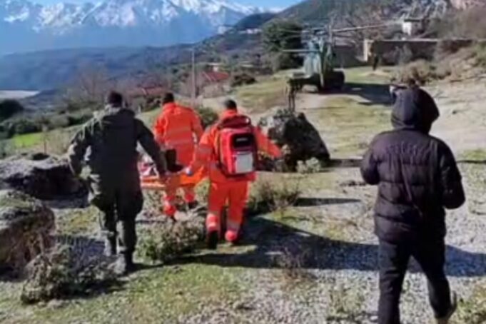 U godit në kokë nga mushka, i mituri transportohet me helikopter drejt Spitalit të Vlorës