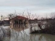 Fier/ Çarja e argjinaturës së Semanit, përmbyten 20 banesa