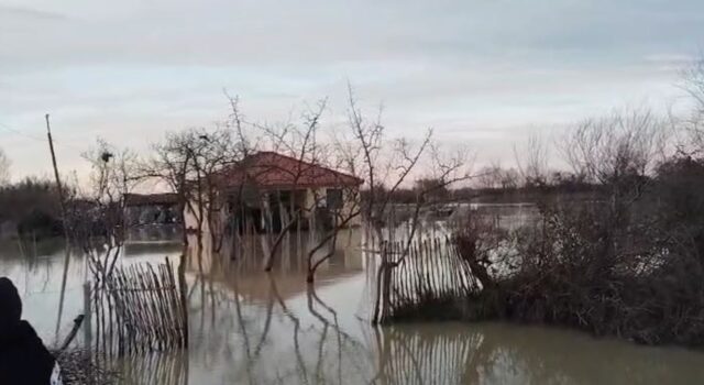 Fier/ Çarja e argjinaturës së Semanit, përmbyten 20 banesa