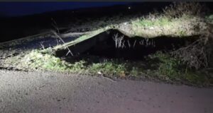 Aksident në Fier, ndërron jetë 35-vjeçari