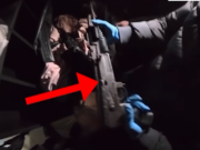 Magazina e armëve në Tiranë, policia jep detaje: Zbulohen pistoleta dhe automatikë, ishin sjellë nga Kosova