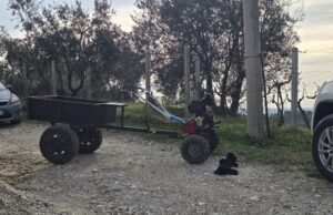 Po punonte tokën me frezë, humb jetën 36-vjeçari në Fier