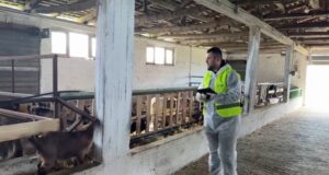Veterineri fierak/ Përkushtimi i një të riu që mbron sigurinë ushqimore dhe shëndetin e kafshëve