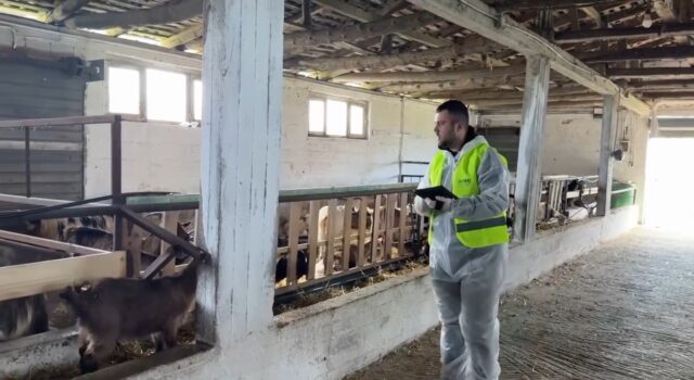 Veterineri fierak/ Përkushtimi i një të riu që mbron sigurinë ushqimore dhe shëndetin e kafshëve