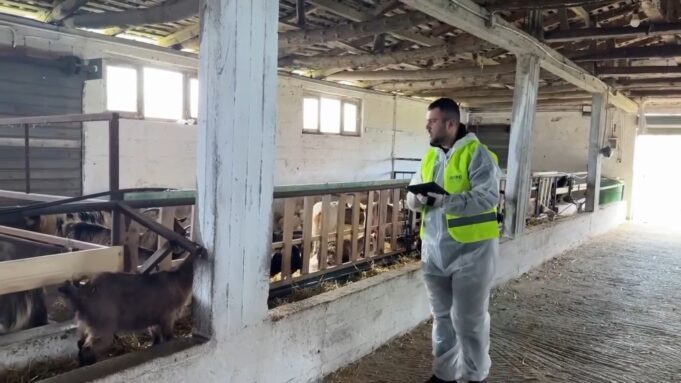 Veterineri fierak/ Përkushtimi i një të riu që mbron sigurinë ushqimore dhe shëndetin e kafshëve