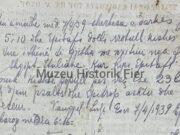 E “Premtja e Zezë” e 7 prillit 1939 – Nga Ilirjan Gjika