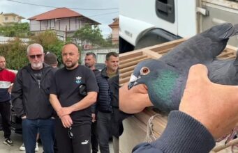 Shoqata e pëllumbave të postës proteston në Fier: Po na pengojnë të garojmë jashtë vendit