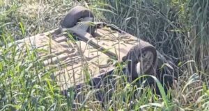 E rëndë në Fier/ Makina del nga rruga dhe përmbyset në kanal, humb jetën drejtuesi