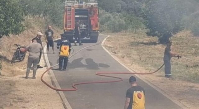 Blendi Gonxhja: Mirënjohje për të gjitha forcat që mbrojtën Parkun Arkeologjik Bylis!