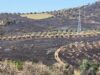 Zjarri 9-orësh shkrumbon 110 hektarë/ Dëme të mëdha në Peshtan e Drizë, arrestohet 20-vjeçari