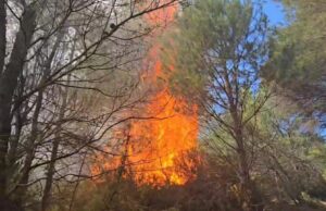 Instituti i Gjeoshkencave: Sot dhe nesër parashikohet rrezik i lartë për zjarre në qarqet Lezhë, Durrës dhe Fier