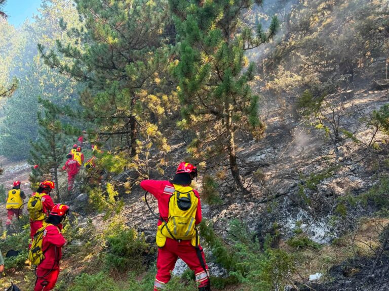 Vënia nën kontroll e flakëve, shefi i emergjencave pranë Prefekturës Fier: Po monitorojmë të gjithë perimetrin e vatrave të zjarrit