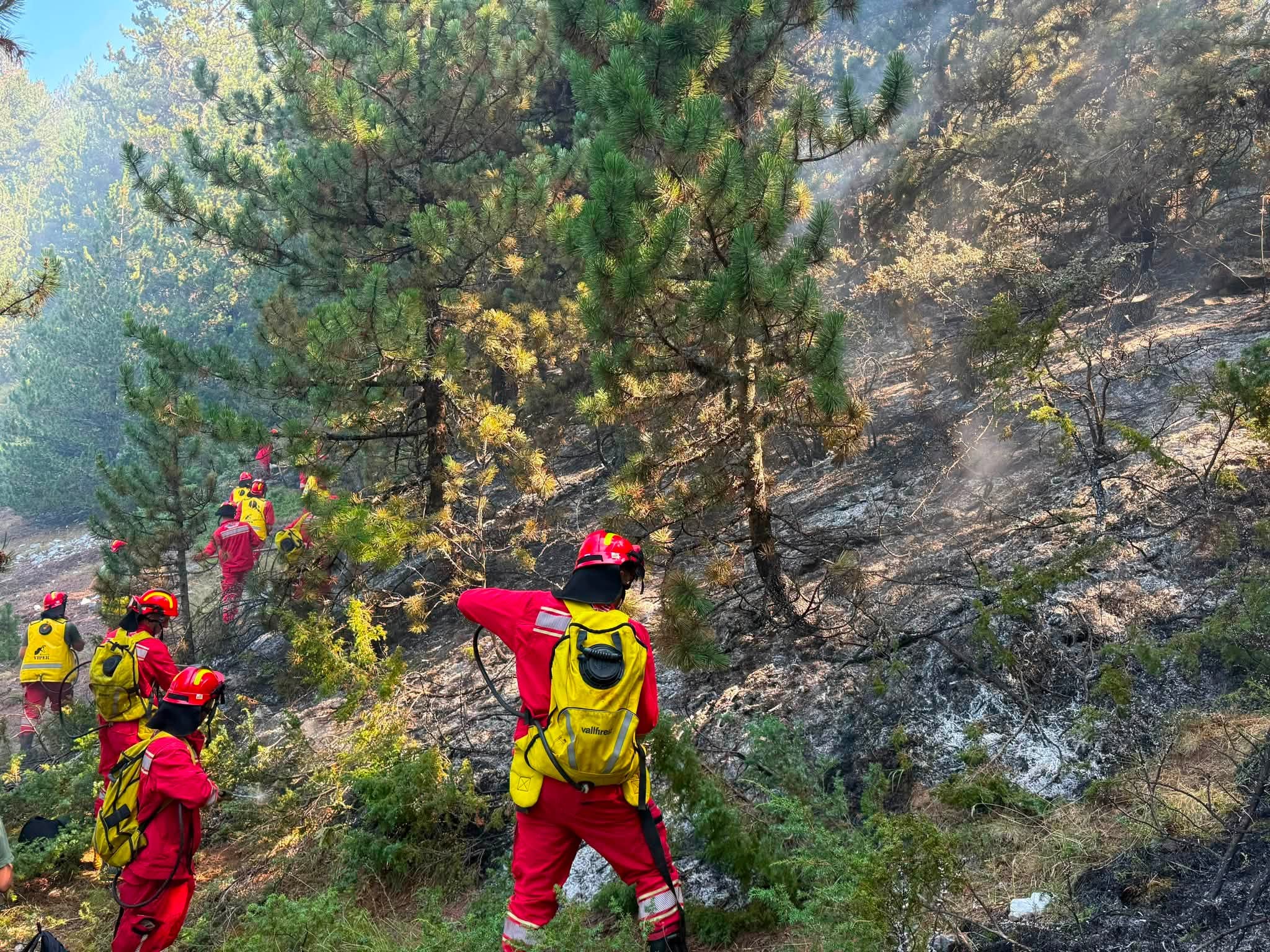 Vënia nën kontroll e flakëve, shefi i emergjencave pranë Prefekturës Fier: Po monitorojmë të gjithë perimetrin e vatrave të zjarrit