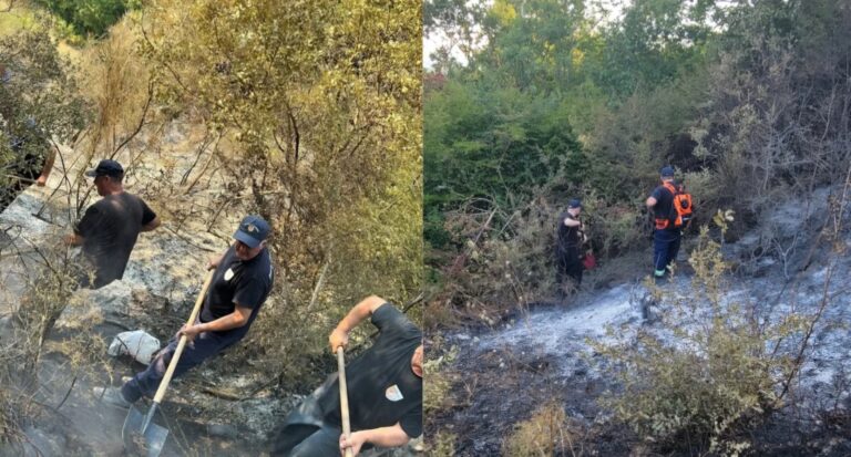 Dy vatra zjarri në Mallakastër dhe Patos, dhjetëra forca nisin operacionet për izolimin e flakëve