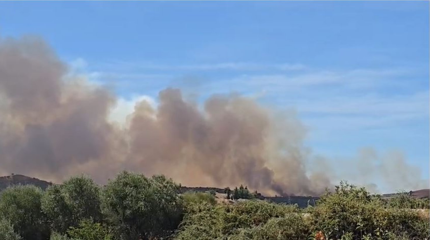 Zjarri ‘përpin’ kodrat me ullinj e shkurre në Radostinë, situatë alarmante