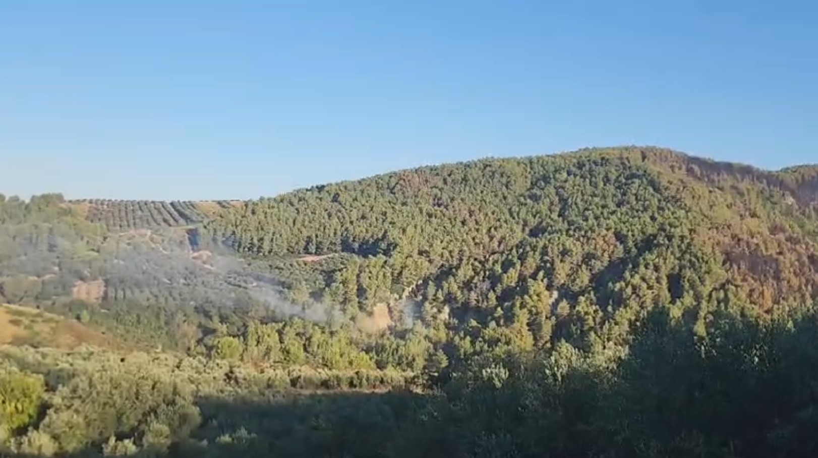 Zjarri në Frrakull, situata e qetë por rreziku mbetet, 30 trupa të FA hyjnë në operacion